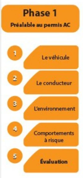 Programme Phase 1 - Modules de cours