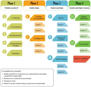 pesr les phases et le cours de conduite théorique en ligne et en personne